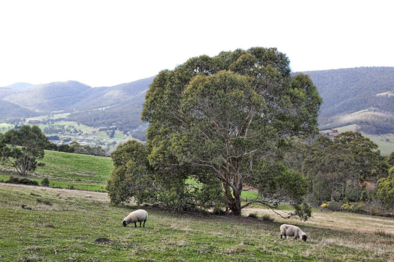 House On The Hill Bed And Breakfast Huonville Exteriér fotografie